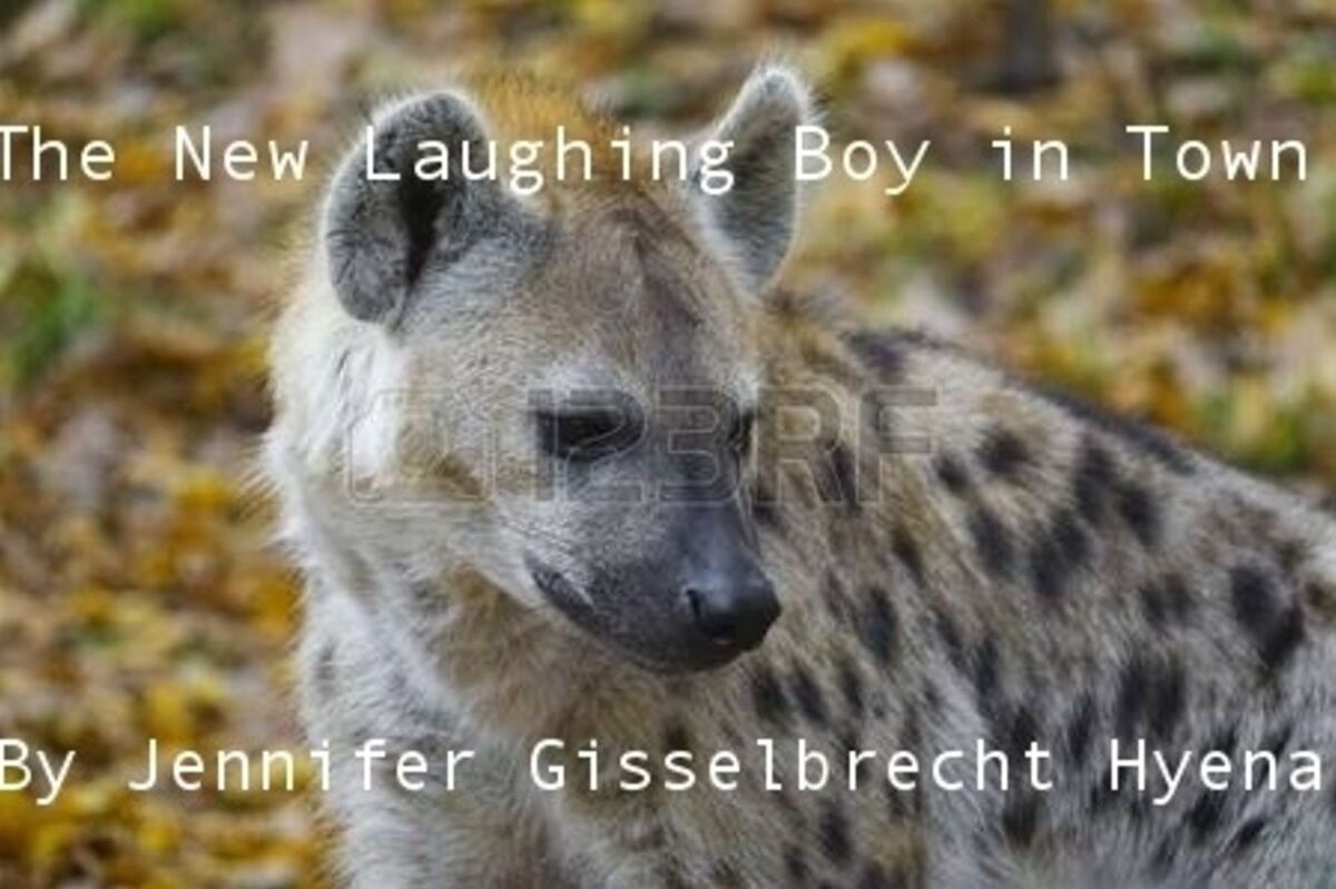 The New Laughing Boy in Town