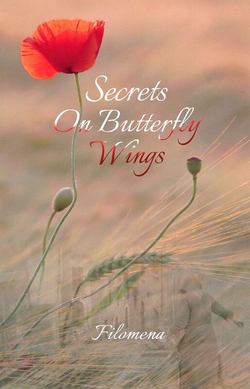 Secrets On Butterfly Wings
