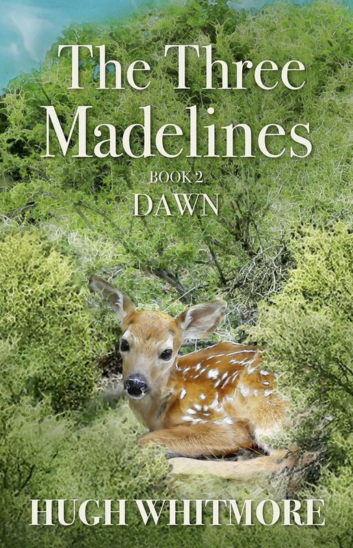 The Three Madelines Book Two - Dawn