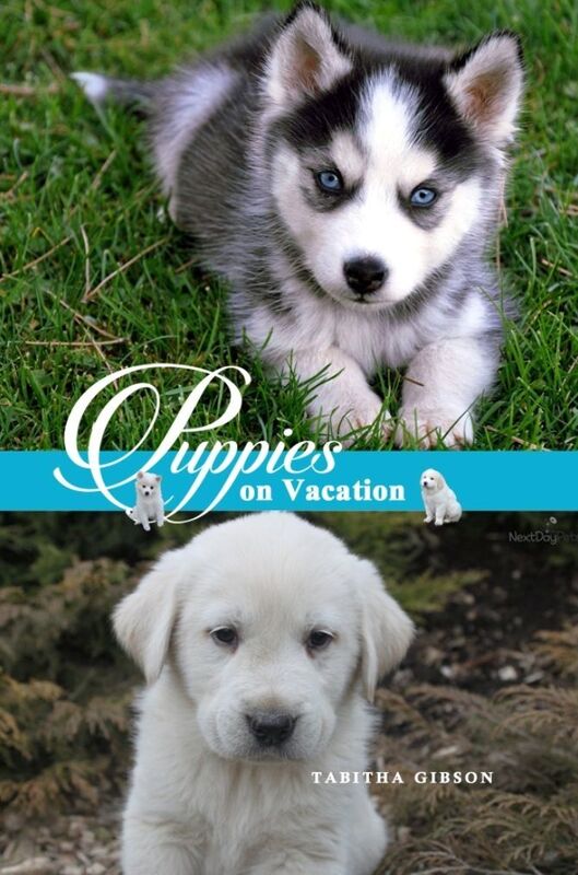 Puppies on Vacation