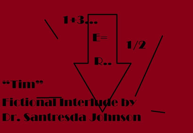 Tim -The Interlude