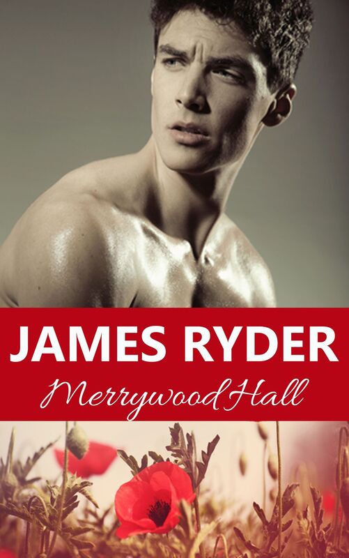 Merrywood Hall: a novel