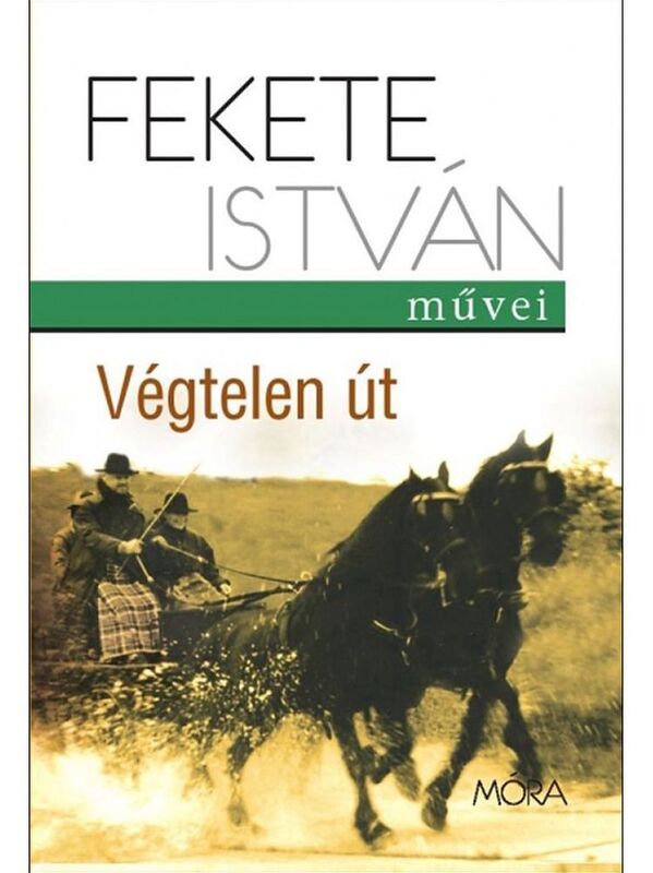 Vegtelen ut