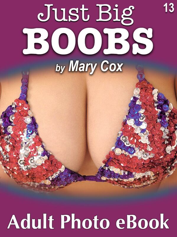 Just Big Boobs, Vol. 13