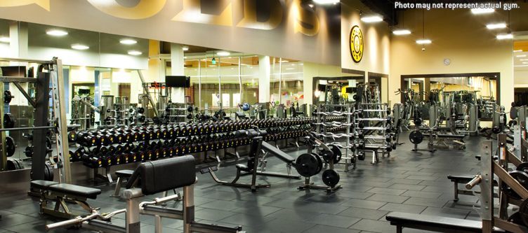 Bull Strength