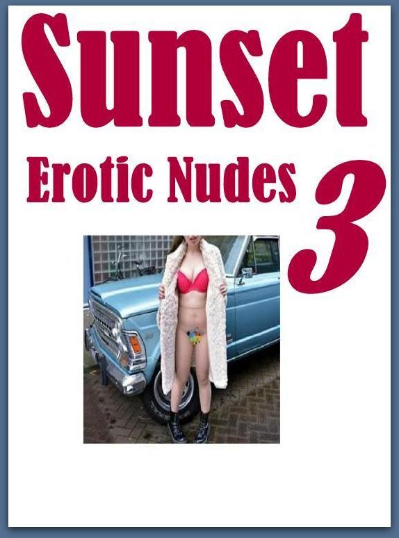 Sex Photography Book: Excelient Breasts Many Syndrome Sex Sunset Erotic Nudes 3 ( sex, porn, fetish, bondage, oral, anal, ebony, hentai, domination, erotic photography, erotic sex stories, adult, xxx, shemale, voyeur, erotic, blowjob )