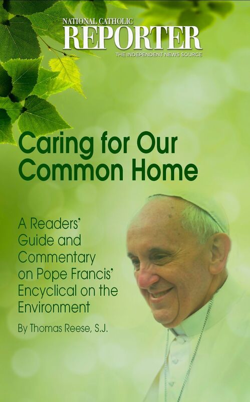 Caring for our Common Home: A Readers Guide and Commentary on Pope Francis Encyclical on the Environment
