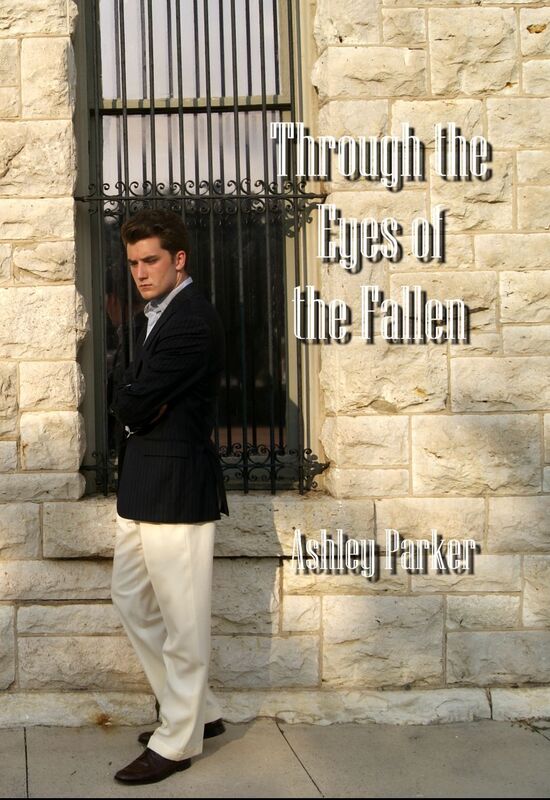 Through the Eyes of the Fallen