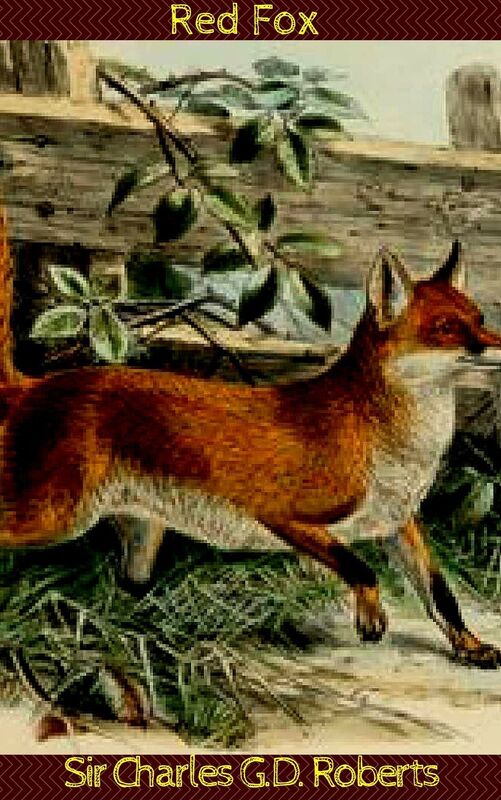 Red Fox
