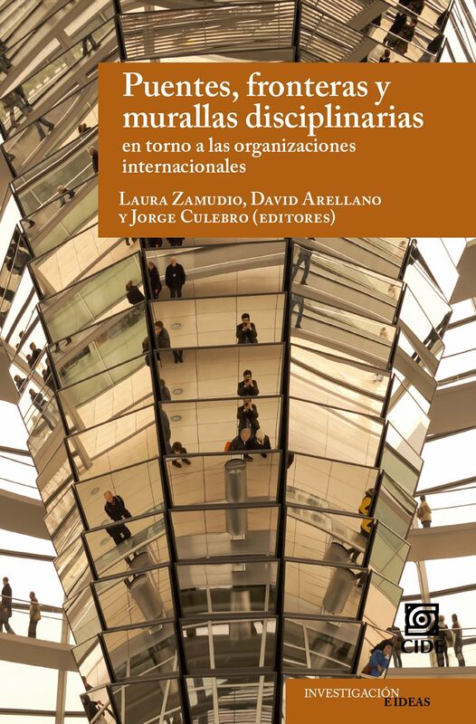 Puentes, fronteras y murallas disciplinarias en torno a las organizaciones internacionales