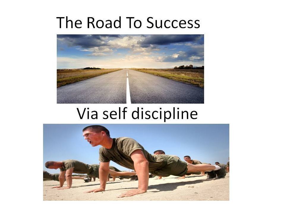 Take The M6 Towards Success