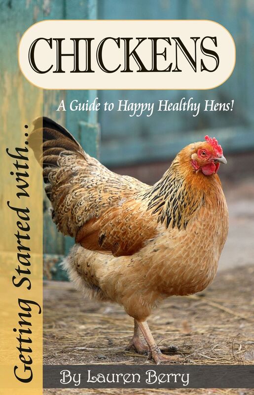 Getting Started with Chickens