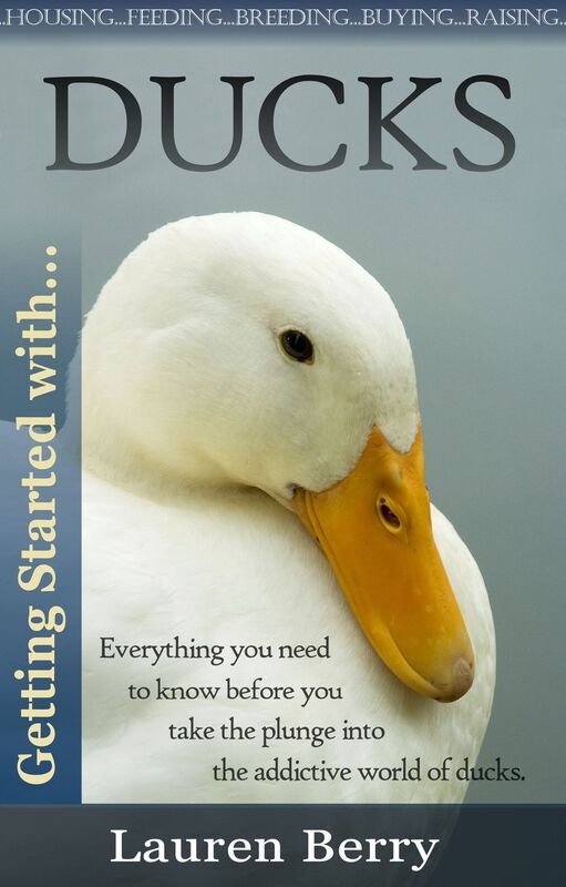 Getting Started with Ducks