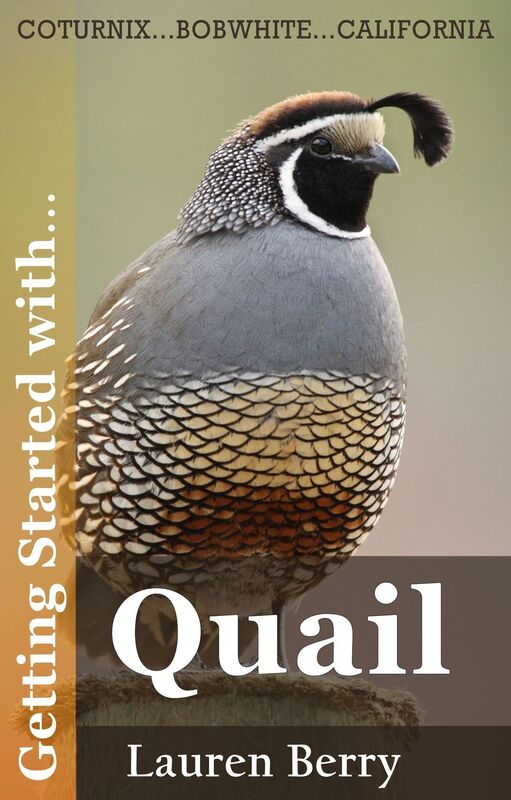 Getting Started with Quail