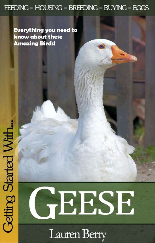Getting Started with Geese