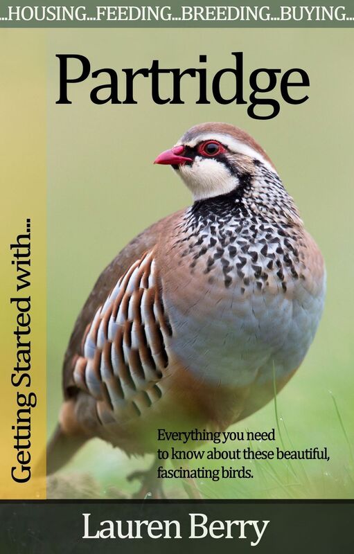 Getting Started with Partridge