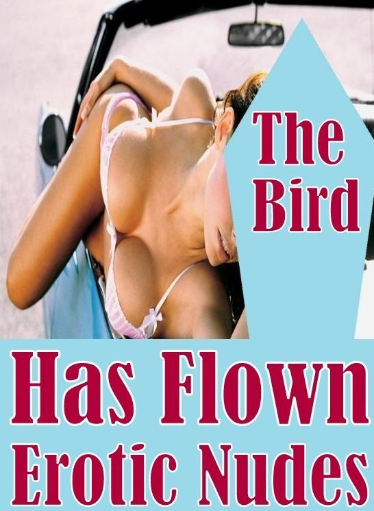 Adult Sex:	Domination First Timers Sex	 The Bird Has Flown Erotic Nudes	( sex, porn, fetish, bondage, oral, anal, ebony, hentai, domination, erotic photography, erotic sex stories, adult, xxx, shemale, voyeur, erotic, blowjob )
