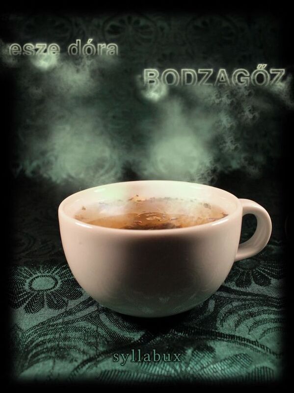 Bodzagoz