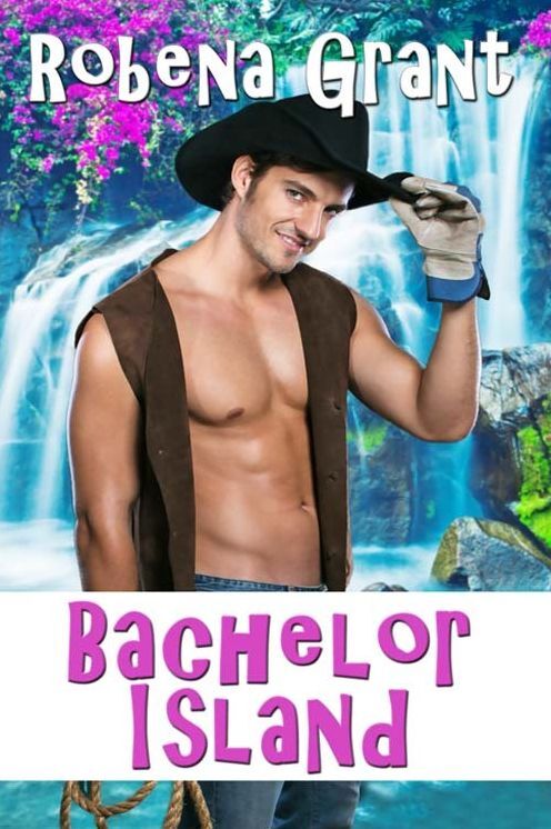 Bachelor Island
