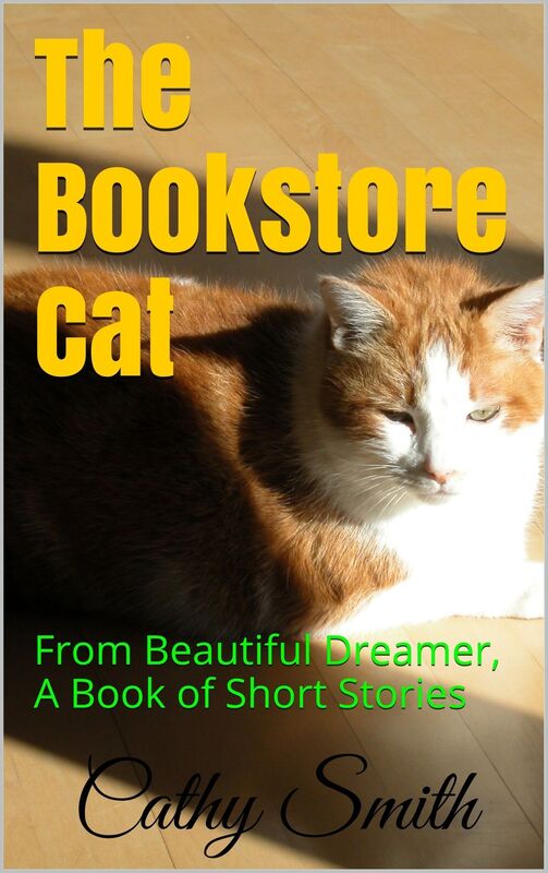 The Bookstore Cat