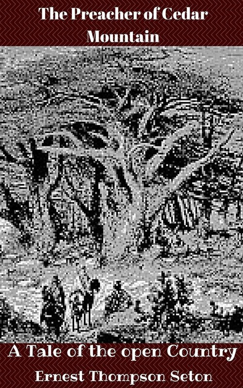 The Preacher of Cedar Mountain:A Tale of the Open Country