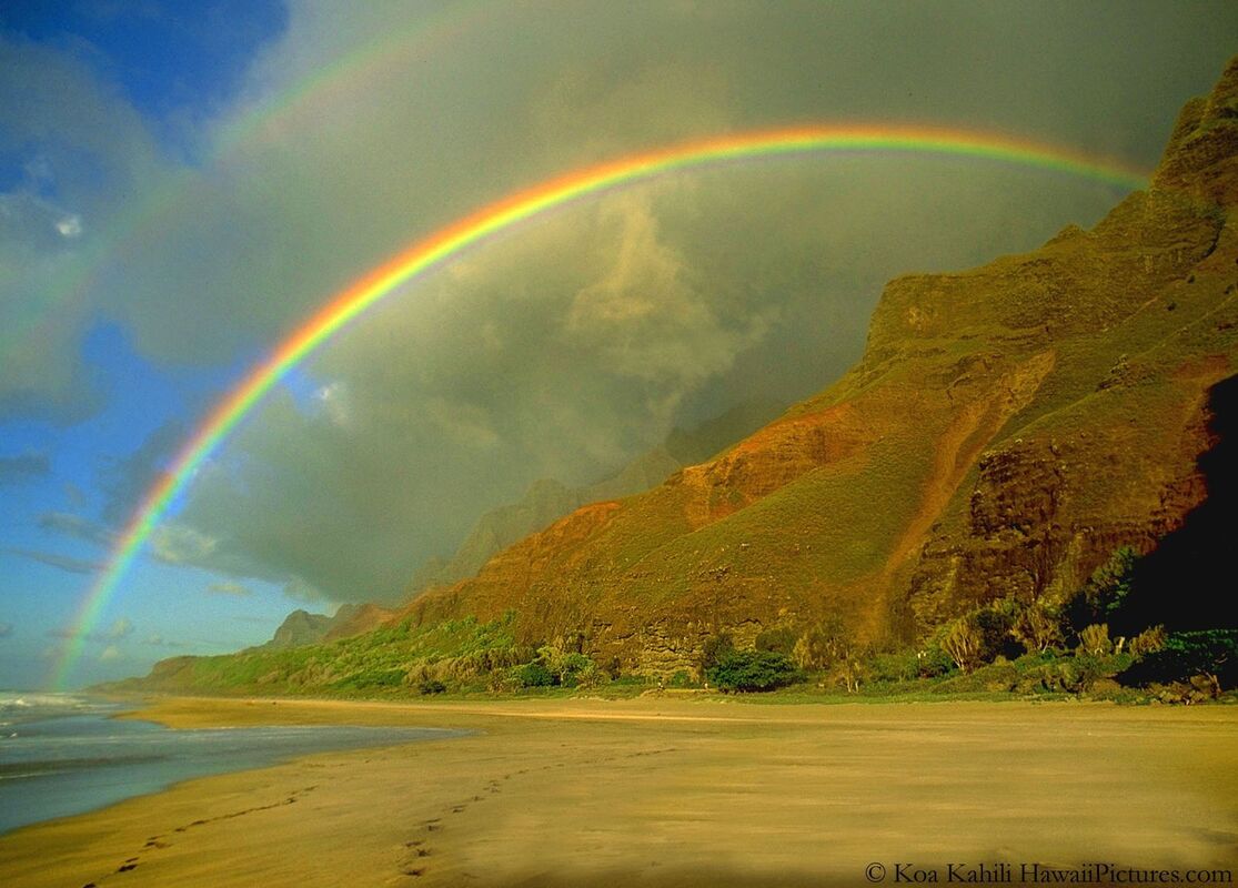BRIDGING HEAVEN AND EARTH: Heart and Soul (The One Light in Metaphor and the Fruited-Plain of Spirit and of Consciousness)