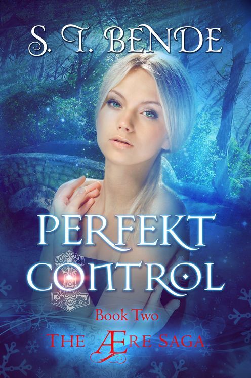 Perfekt Control (The re Saga Book 2)