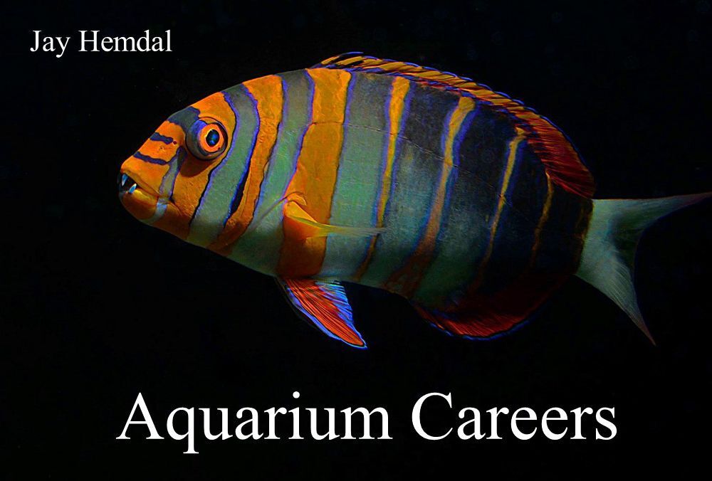 Aquarium Careers