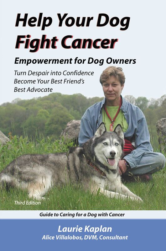 Help Your Dog Fight Cancer