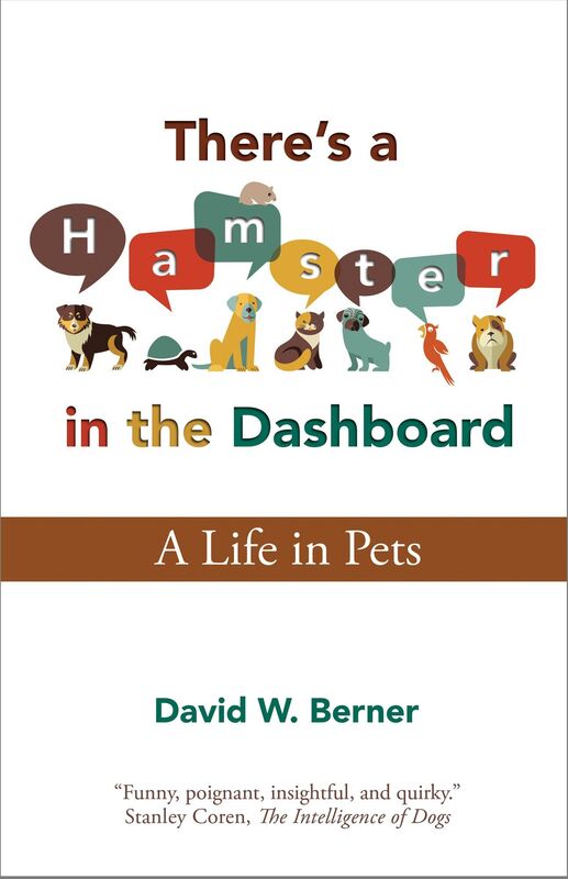 There's a Hamster in the Dashboard