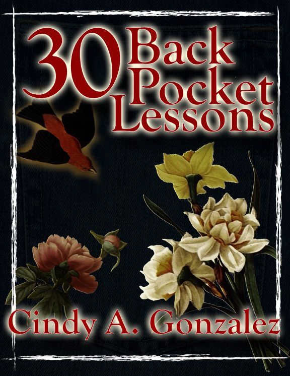 30 Back Pocket Lessons