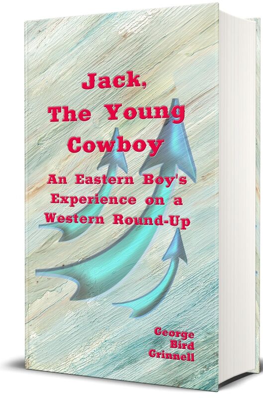 Jack, The Young Cowboy: An Eastern Boy's Experience On a Western Round-Up (Illustrated)