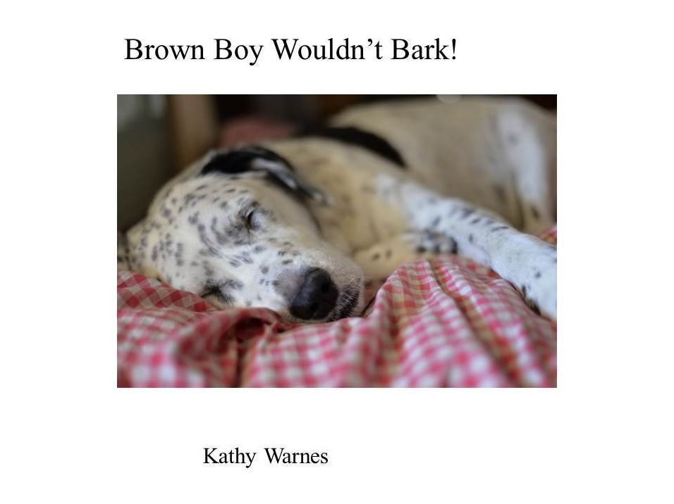 Brown Boy Wouldn't Bark