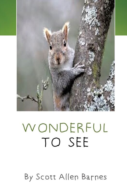 WONDERFUL TO SEE