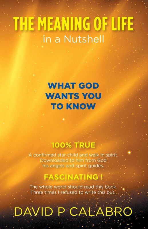 The Meaning Of Life in a Nutshell: What God Wants You To Know