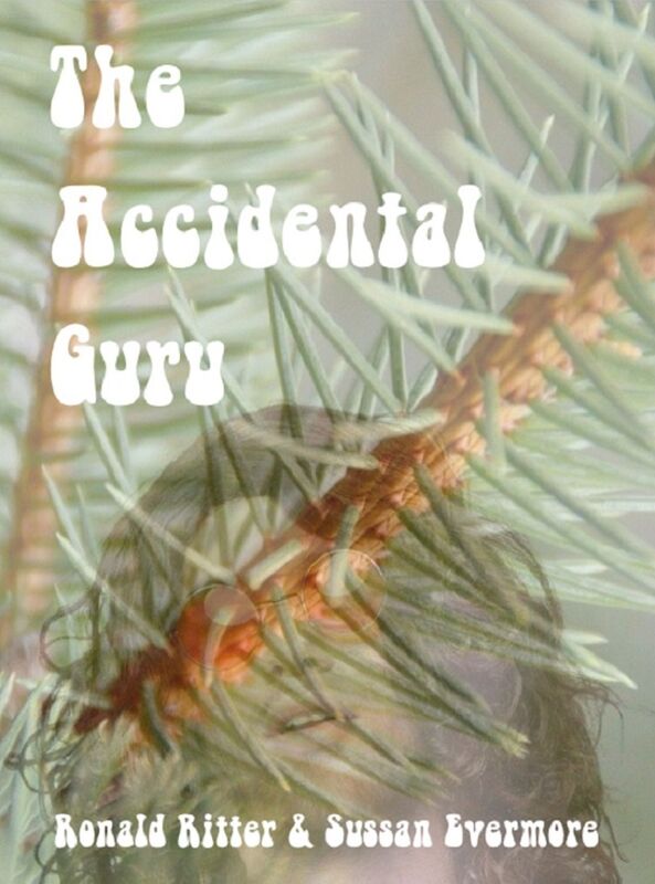 The Accidental Guru