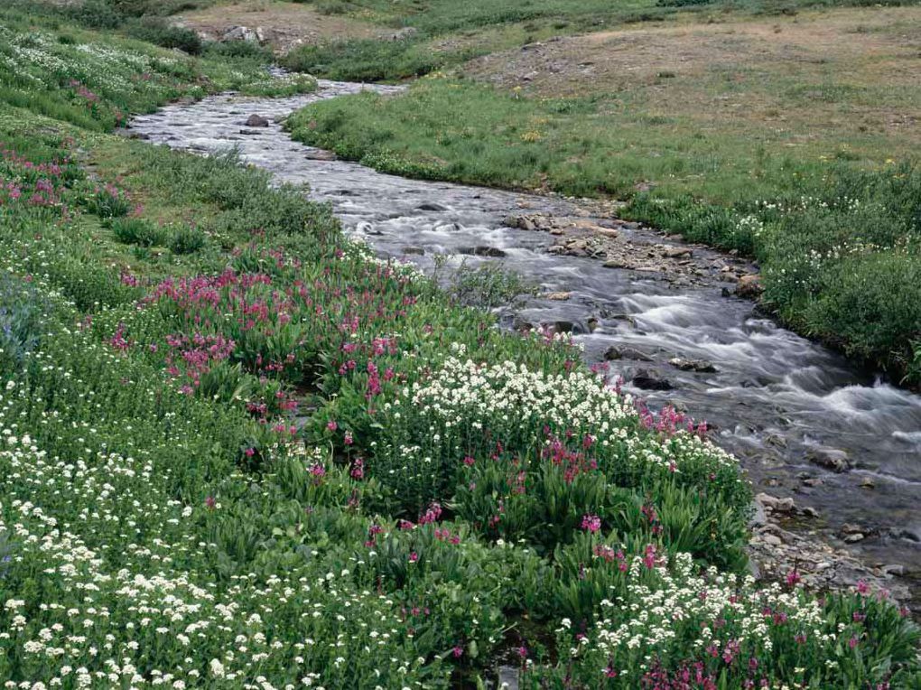 Secrets A River Runs