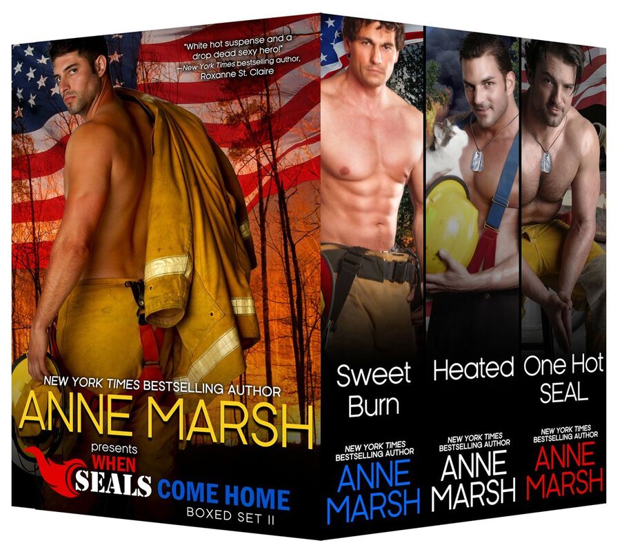 When SEALs Come Home Boxed Set II: Three Book SEAL Military Romance Collection