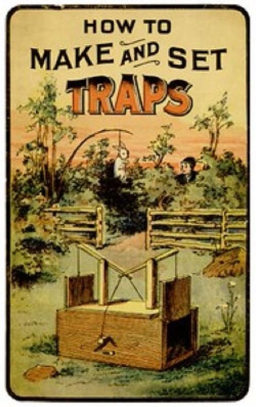 How to Make and Set Traps (Illustrated)