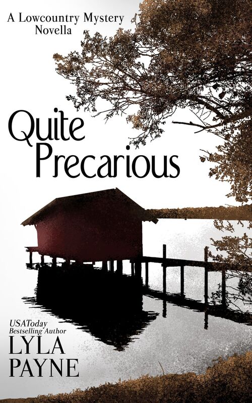 Quite Precarious (A Lowcountry Novella)