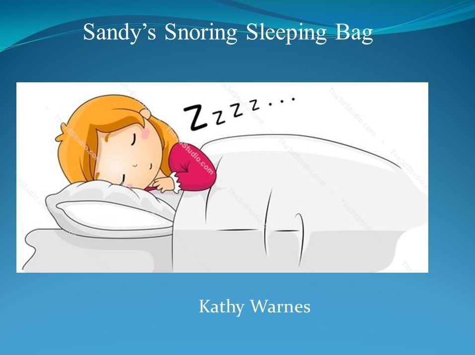 Sandy's Snoring Sleeping Bag