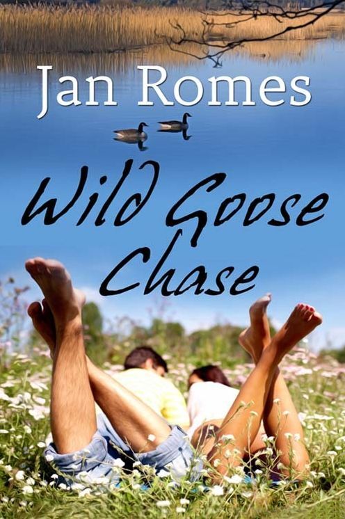 Wild Goose Chase