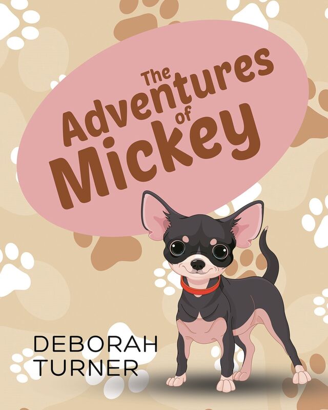 The Adventures of Mickey