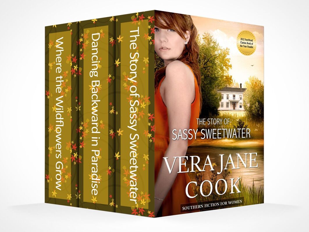 Southern Fiction Box Set