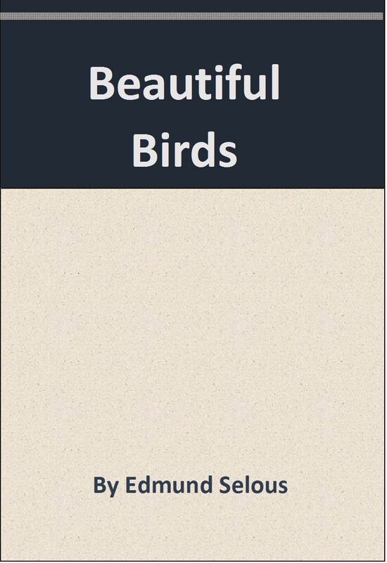 Beautiful Birds