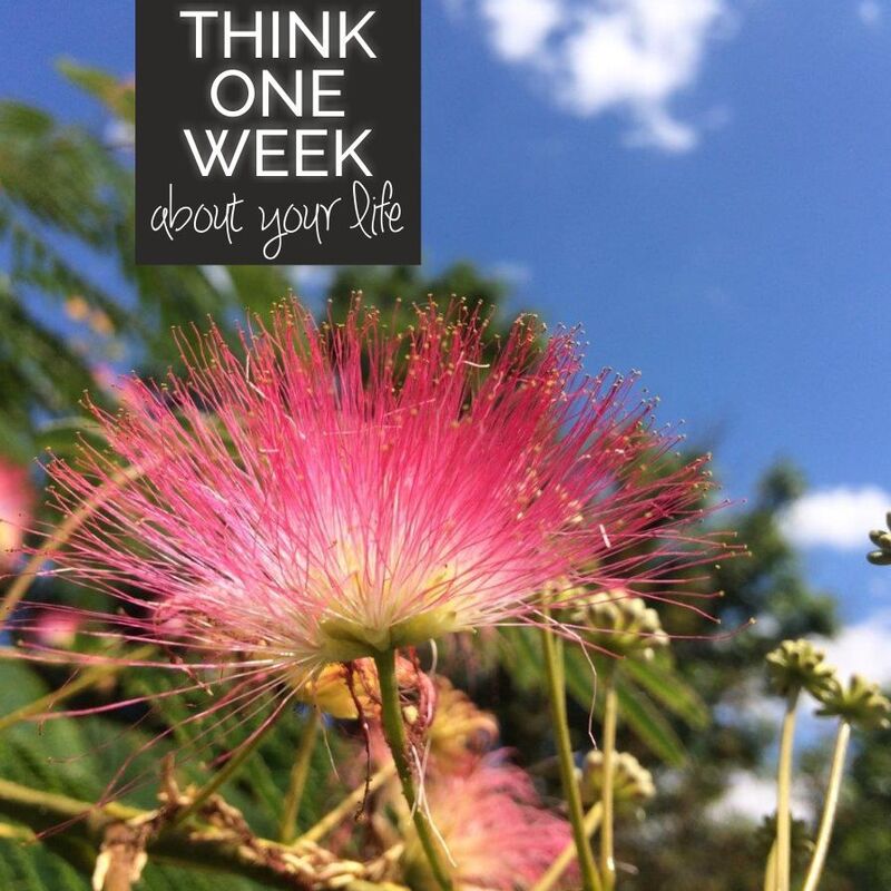 Think one week about your life