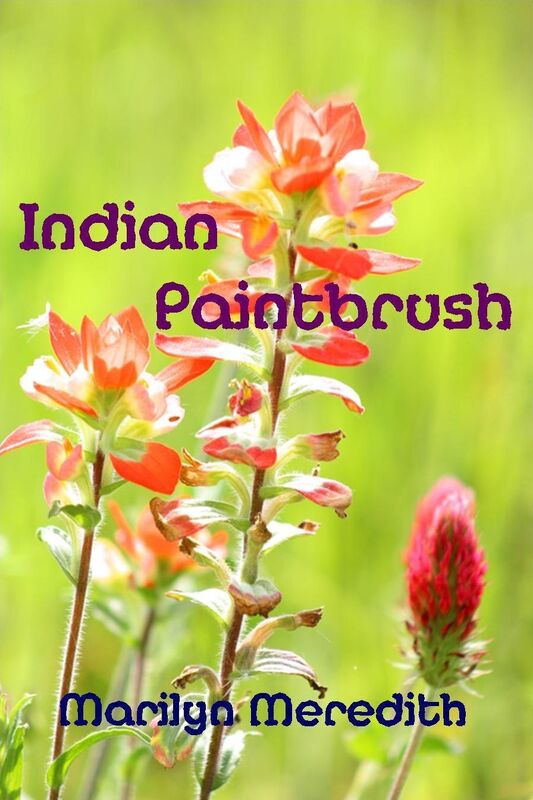 Indian Paintbrush
