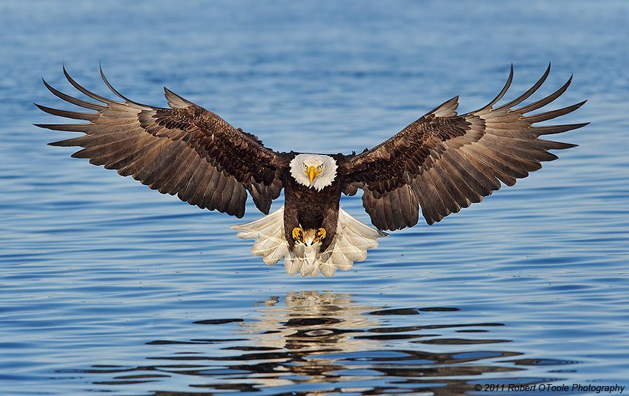 I Believe I Can Touch The Sky