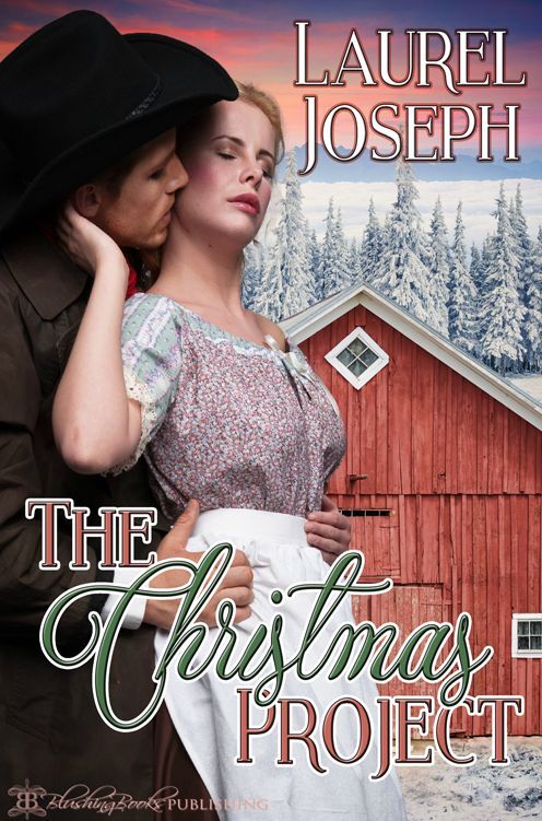 The Christmas Project