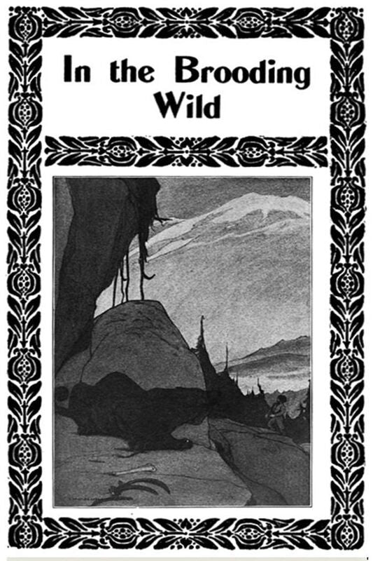 In the Brooding Wild